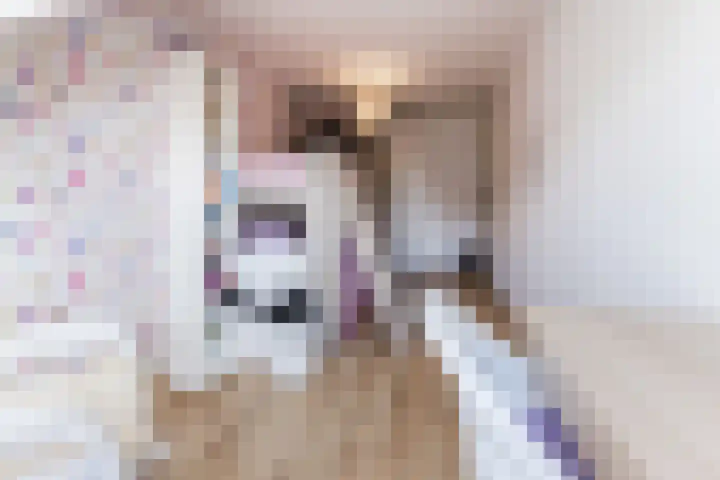 Brilhoeve 4 Sterksel thumbnail 36