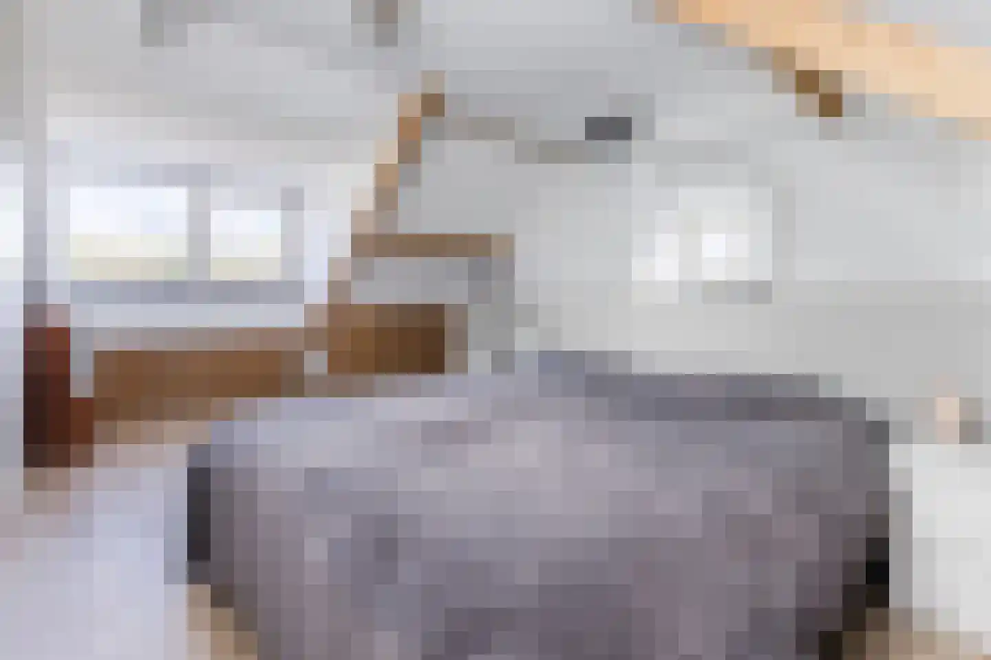 Brilhoeve 4 Sterksel thumbnail 39