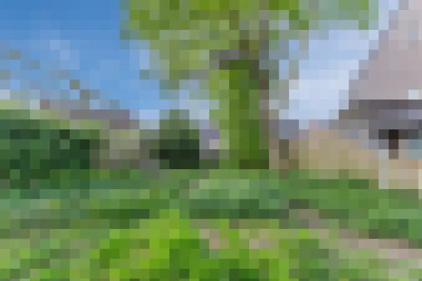 Brilhoeve 4 Sterksel thumbnail 47