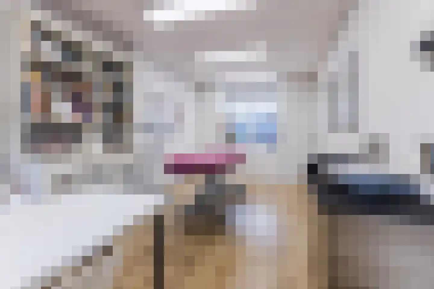 Brilhoeve 4 Sterksel thumbnail 5