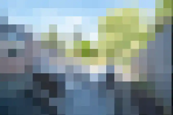 Briljant 10 Mijdrecht thumbnail 20