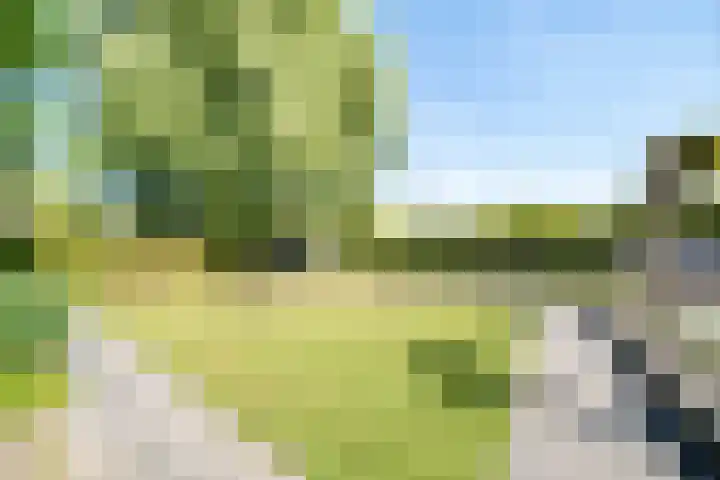 Briljant 10 Mijdrecht thumbnail 22
