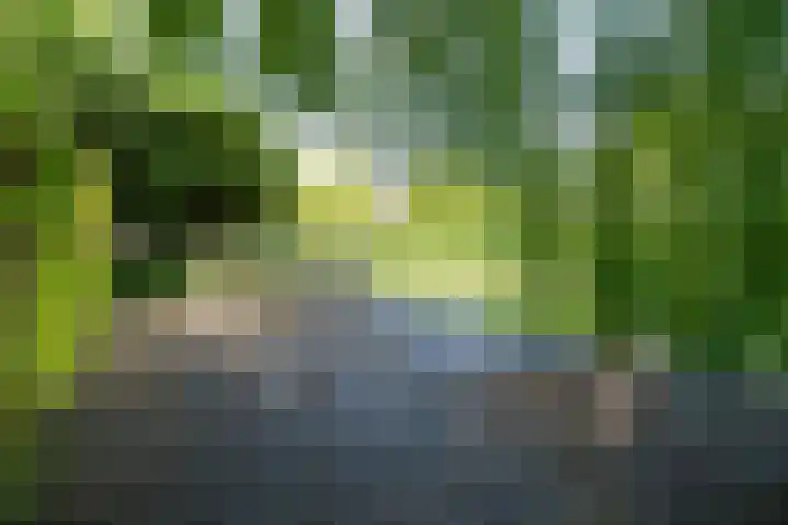 Briljant 10 Mijdrecht thumbnail 23