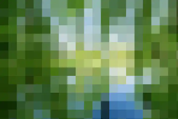 Briljant 10 Mijdrecht thumbnail 24