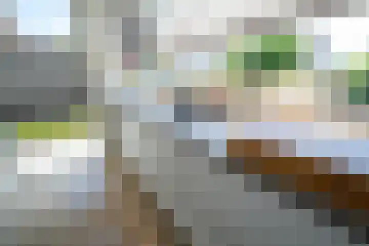 Briljant 10 Mijdrecht thumbnail 4