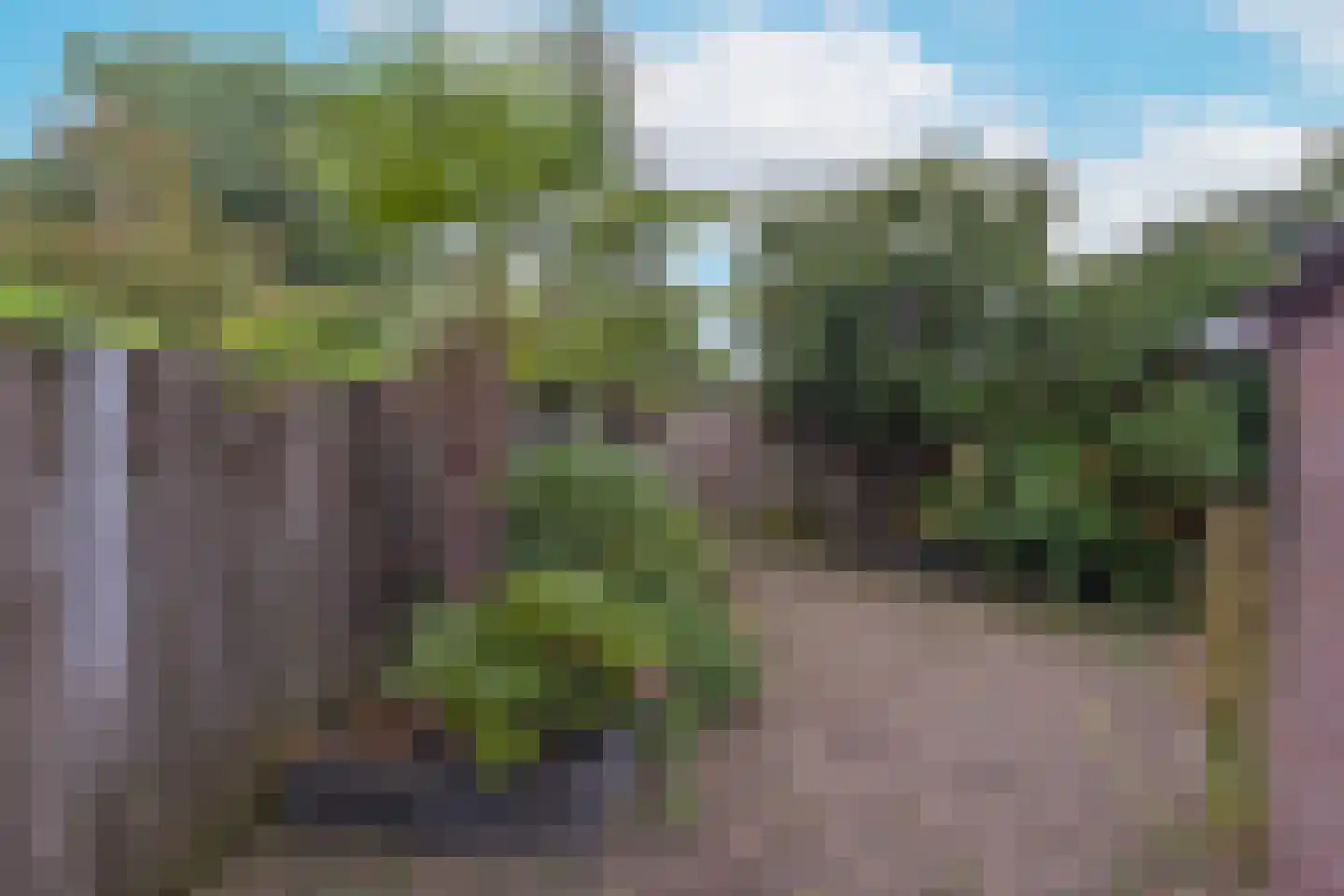 Briljant 15 Mijdrecht thumbnail 9