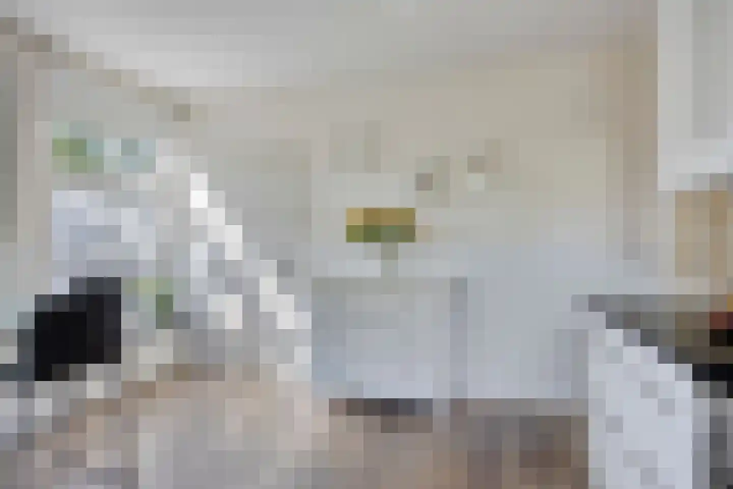 Briljant 21 Eindhoven thumbnail 25