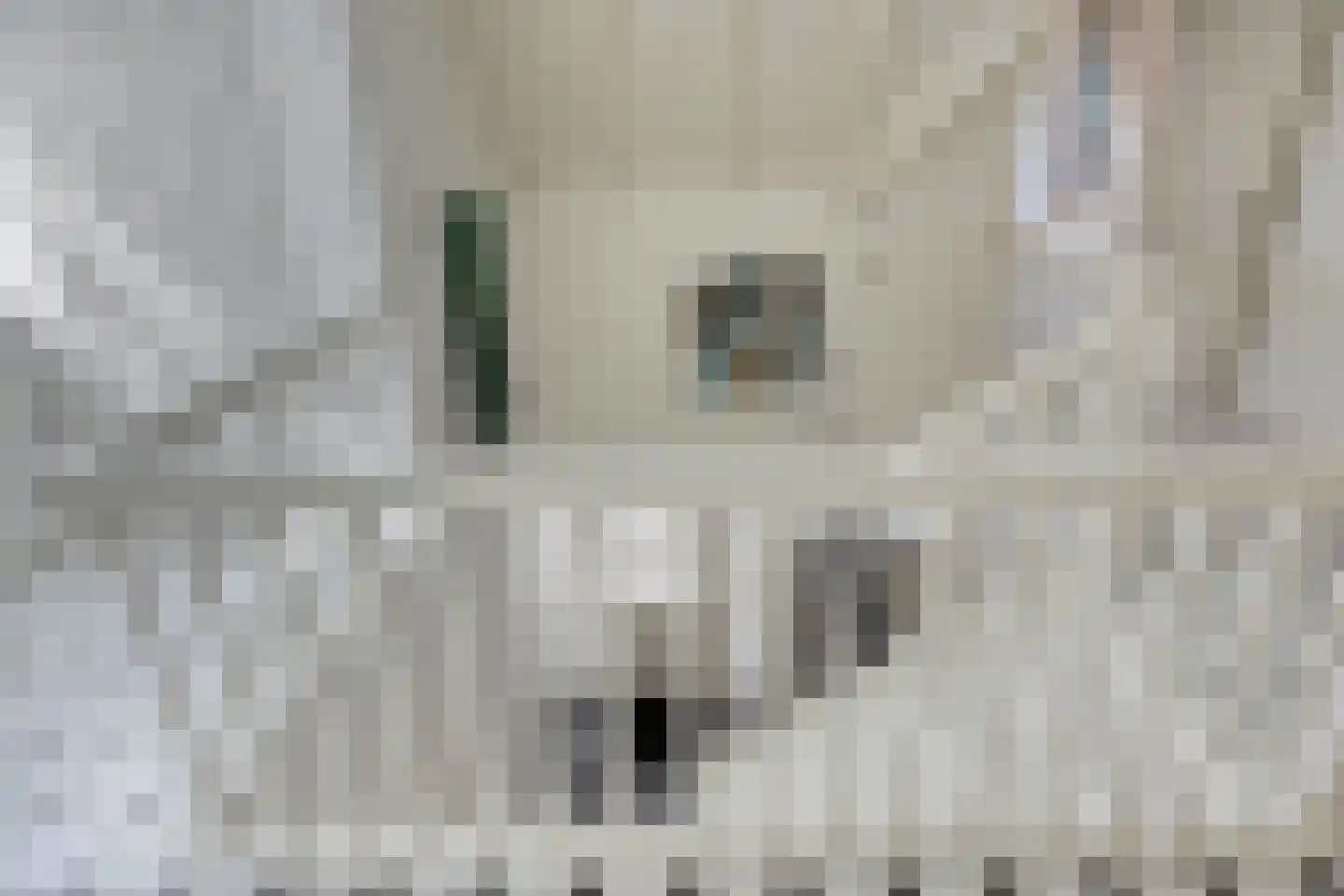Briljant 21 Eindhoven thumbnail 27