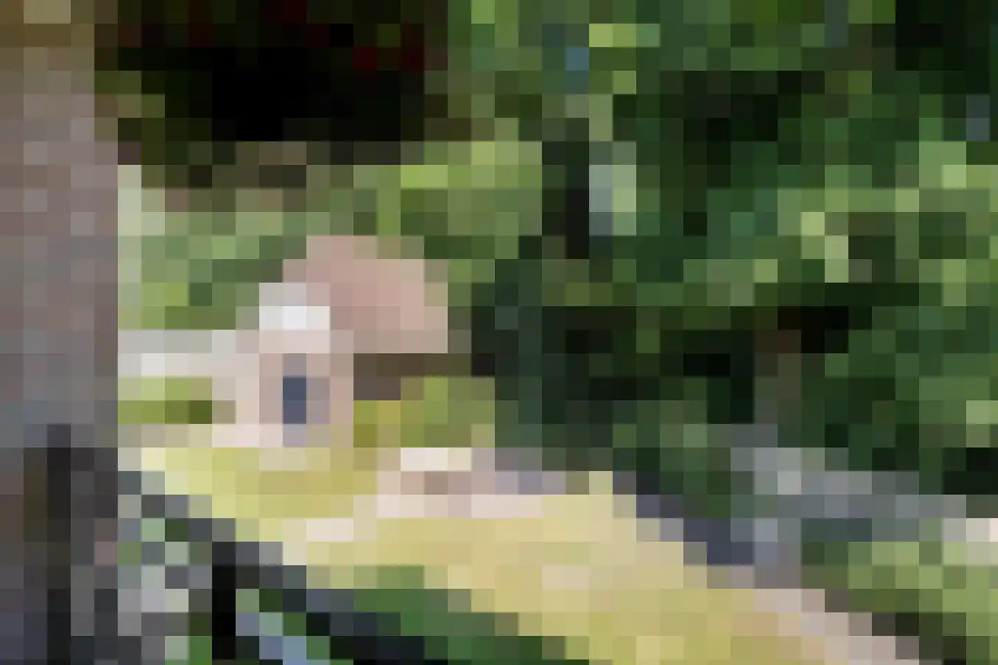 Briljant 21 Eindhoven thumbnail 37