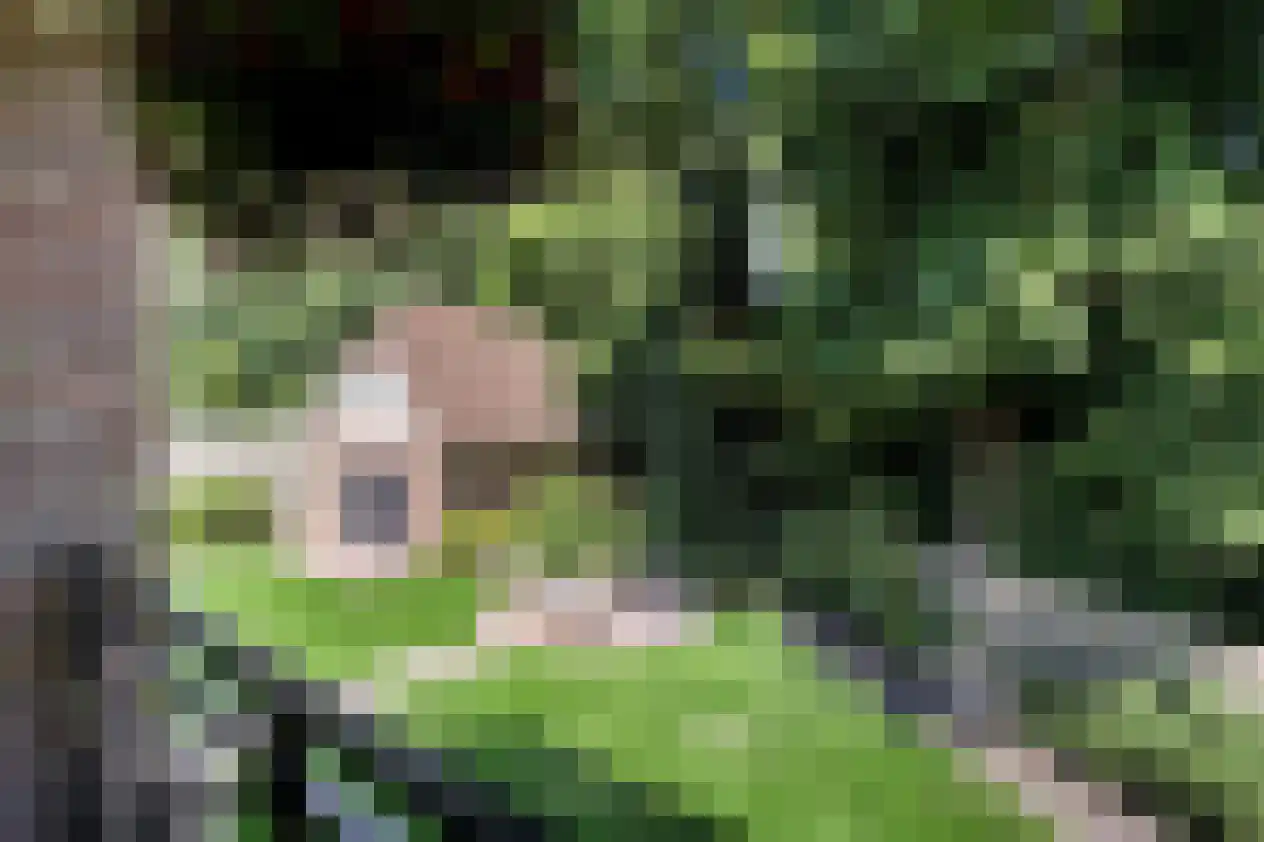 Briljant 21 Eindhoven thumbnail 4