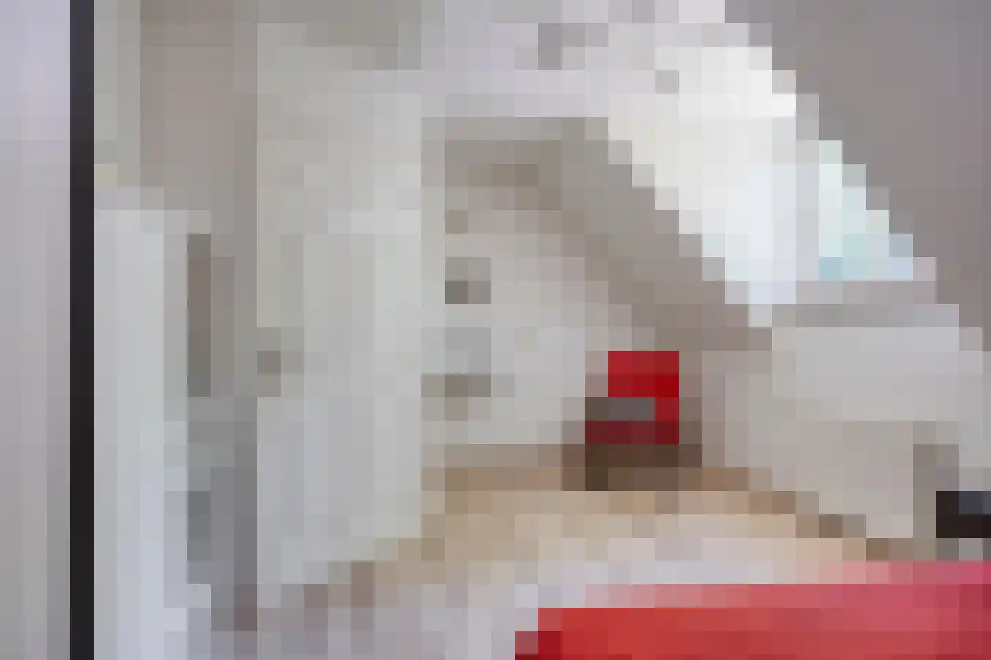 Briljant 21 Eindhoven thumbnail 40
