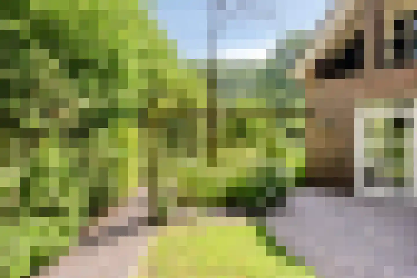 Briljant 21 Eindhoven thumbnail 51