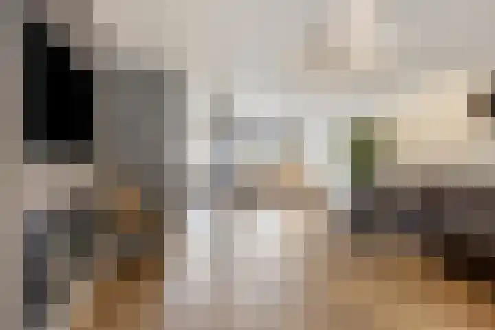 Briljant 32 Zoetermeer thumbnail 10