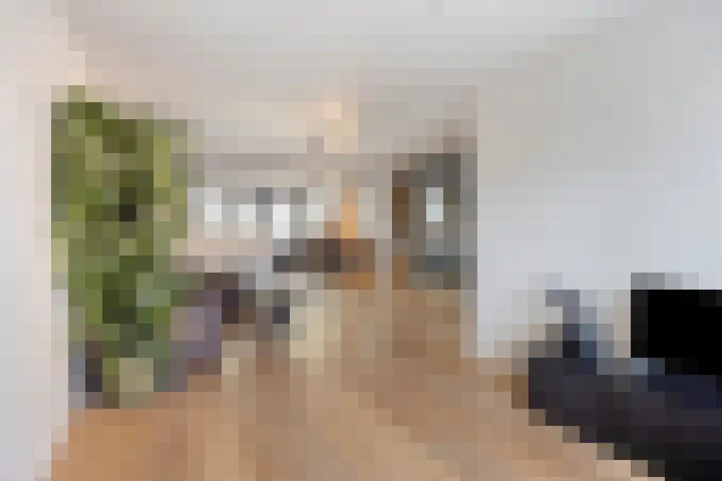 Briljant 32 Zoetermeer thumbnail 13