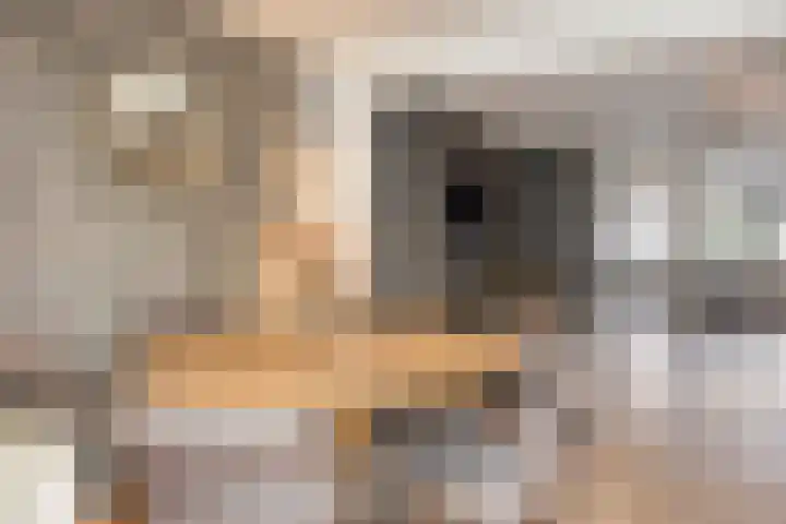 Briljant 32 Zoetermeer thumbnail 16