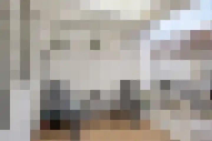 Briljant 32 Zoetermeer thumbnail 22