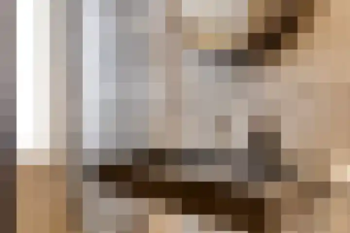 Briljant 32 Zoetermeer thumbnail 31
