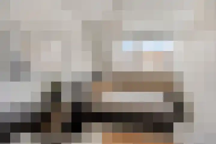 Briljant 32 Zoetermeer thumbnail 33