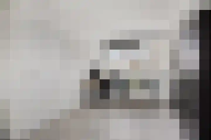 Briljant 32 Zoetermeer thumbnail 38