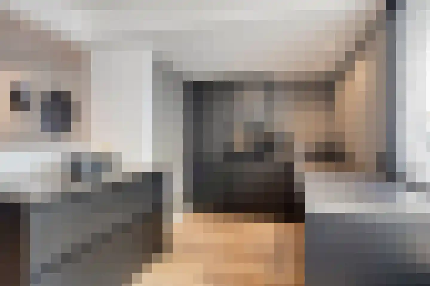 Briljant 32 Zoetermeer thumbnail 4