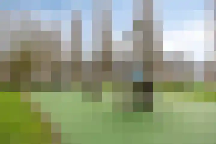 Briljant 32 Zoetermeer thumbnail 44