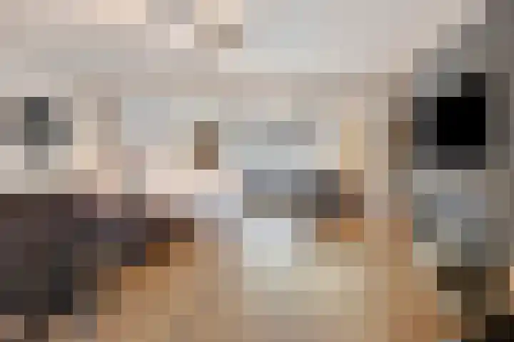 Briljant 32 Zoetermeer thumbnail 9