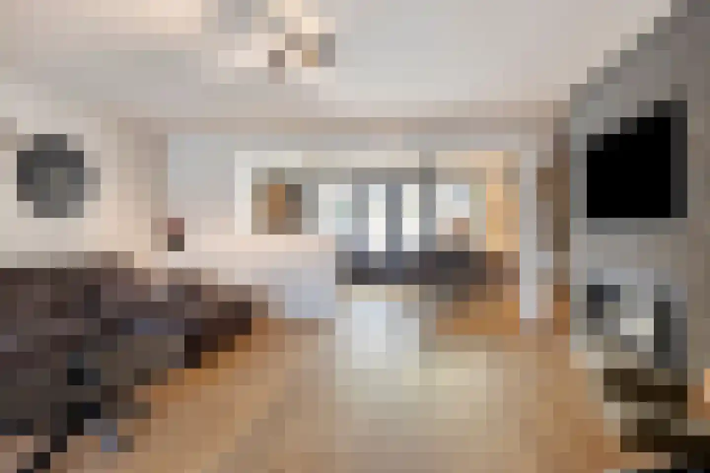 Briljant 32 Zoetermeer thumbnail 9