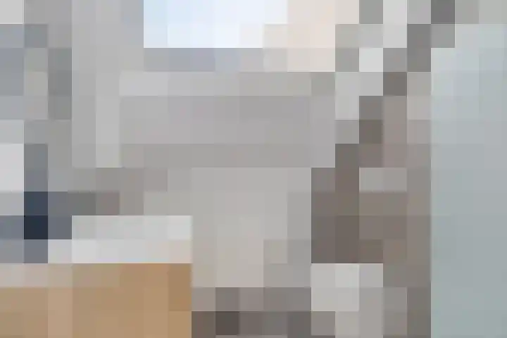 Briljant 33 Middelburg thumbnail 12