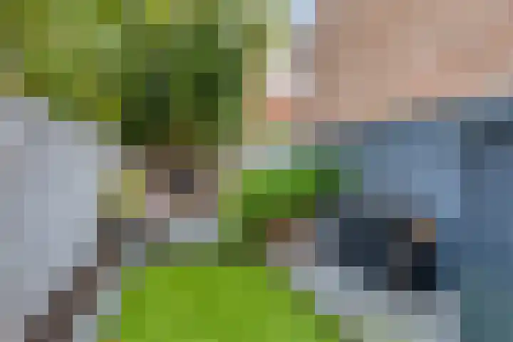 Briljant 33 Middelburg thumbnail 18