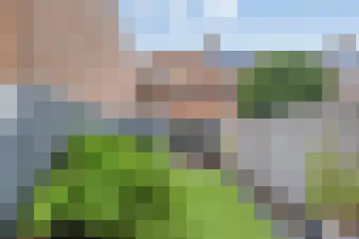 Briljant 33 Middelburg thumbnail 19