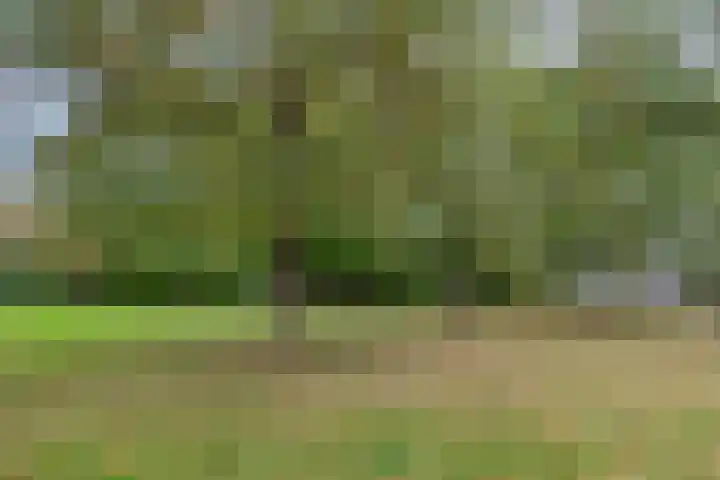 Briljant 33 Middelburg thumbnail 21