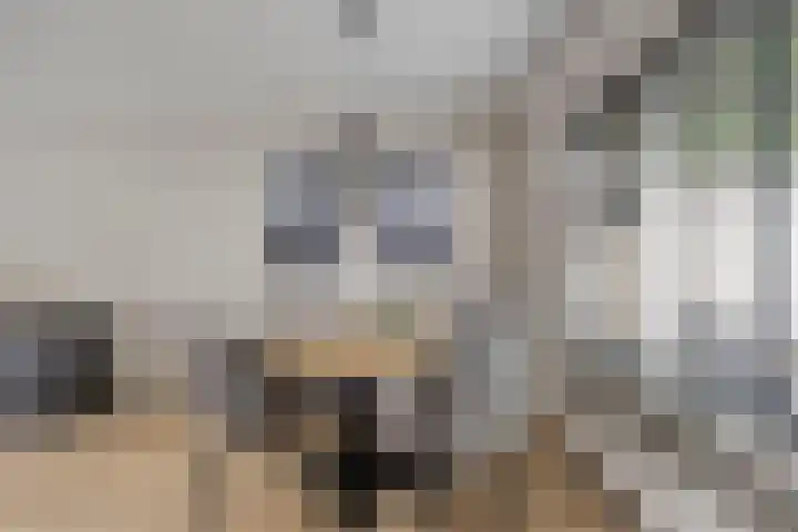 Briljant 33 Middelburg thumbnail 5