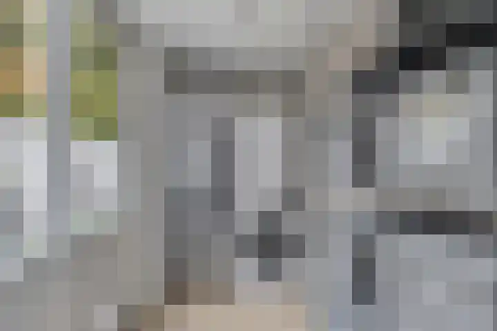 Briljant 33 Middelburg thumbnail 8
