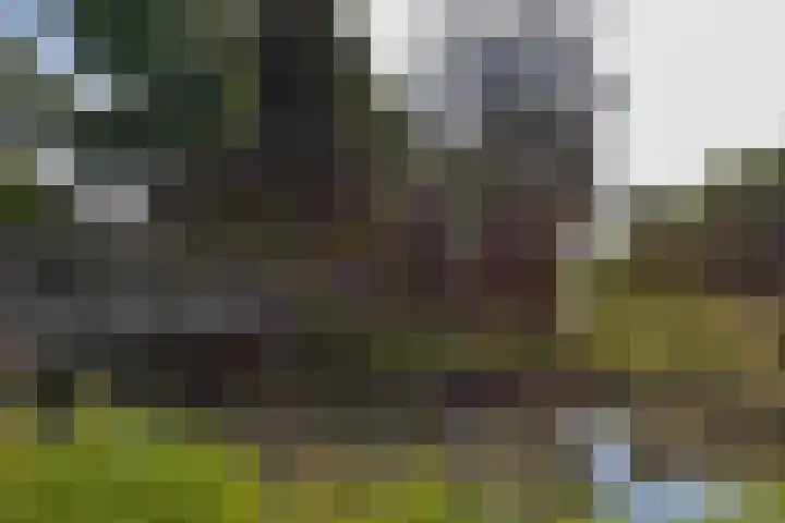 Briljant 40 Mijdrecht thumbnail 31