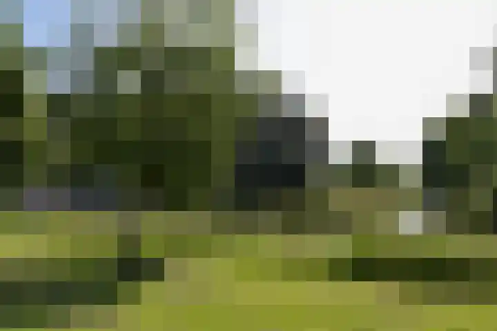 Briljant 40 Mijdrecht thumbnail 32
