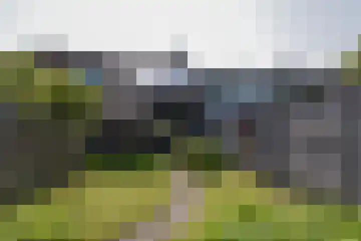 Briljant 40 Mijdrecht thumbnail 4