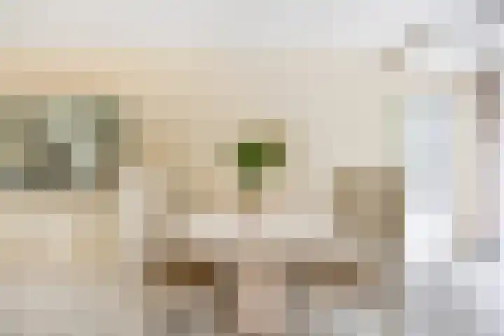 Briljant 7 Eindhoven thumbnail 15