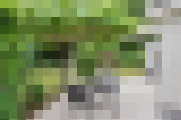 Briljant 7 Eindhoven thumbnail 43