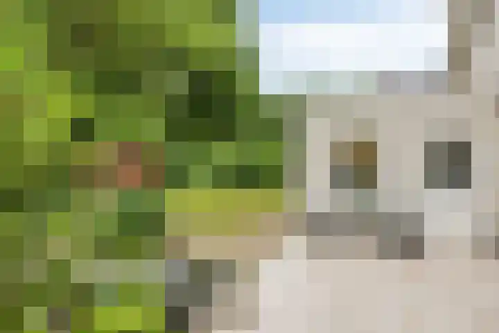 Briljant 7 Eindhoven thumbnail 45