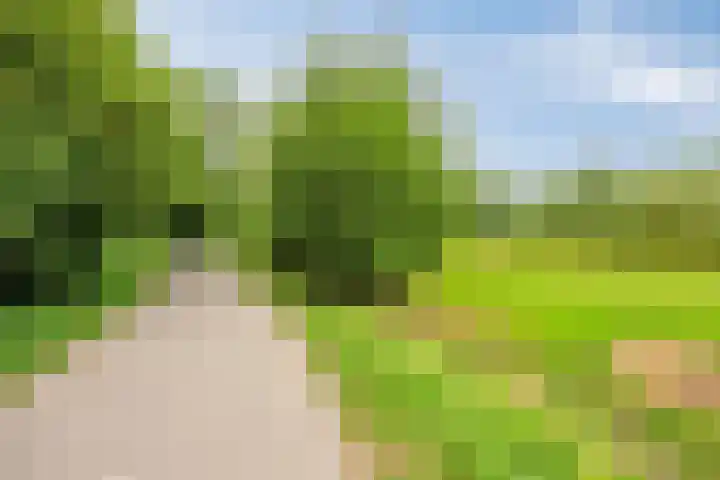 Briljant 7 Eindhoven thumbnail 50