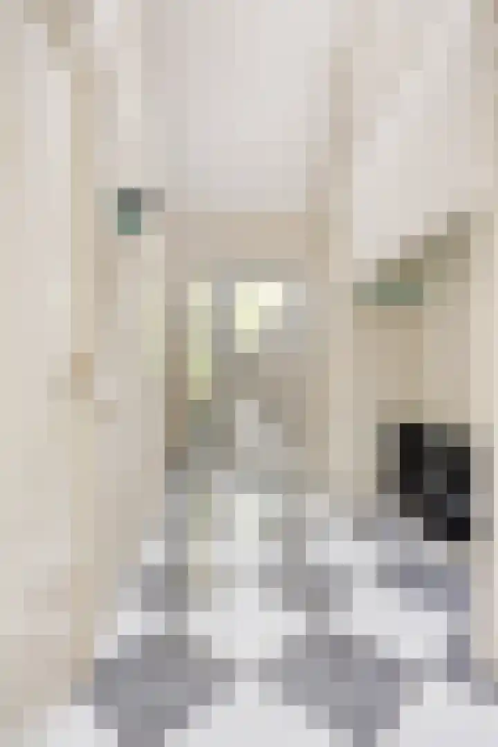 Briljant 7 Eindhoven thumbnail 6