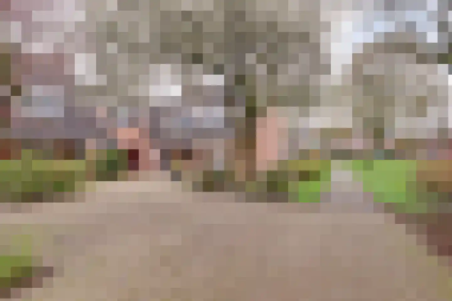 Briljantdrift 39 Nieuwegein thumbnail 31