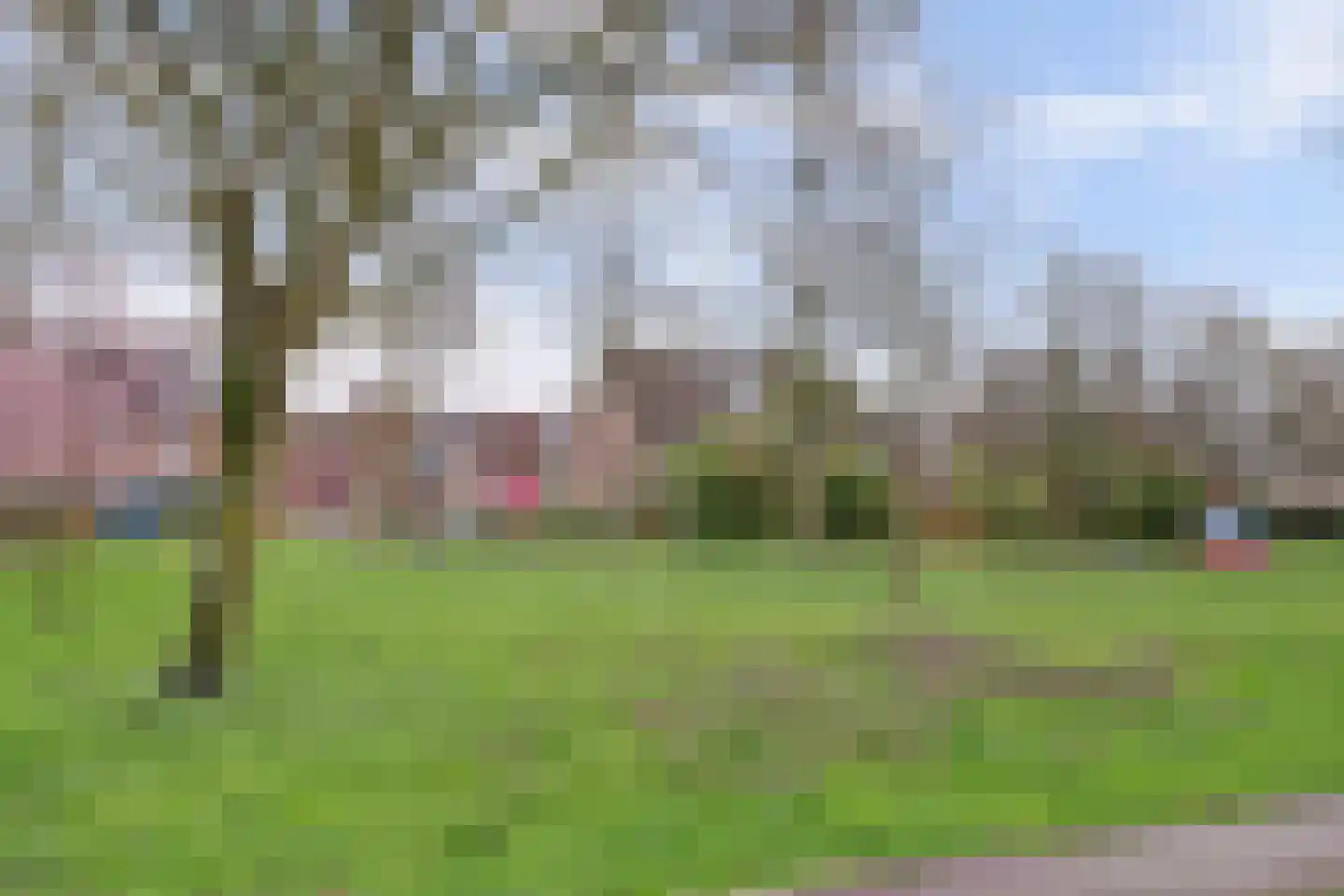 Briljantdrift 39 Nieuwegein thumbnail 33