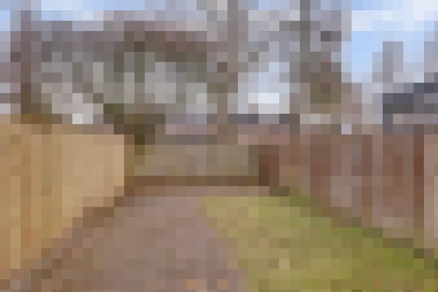 Briljantdrift 39 Nieuwegein thumbnail 6