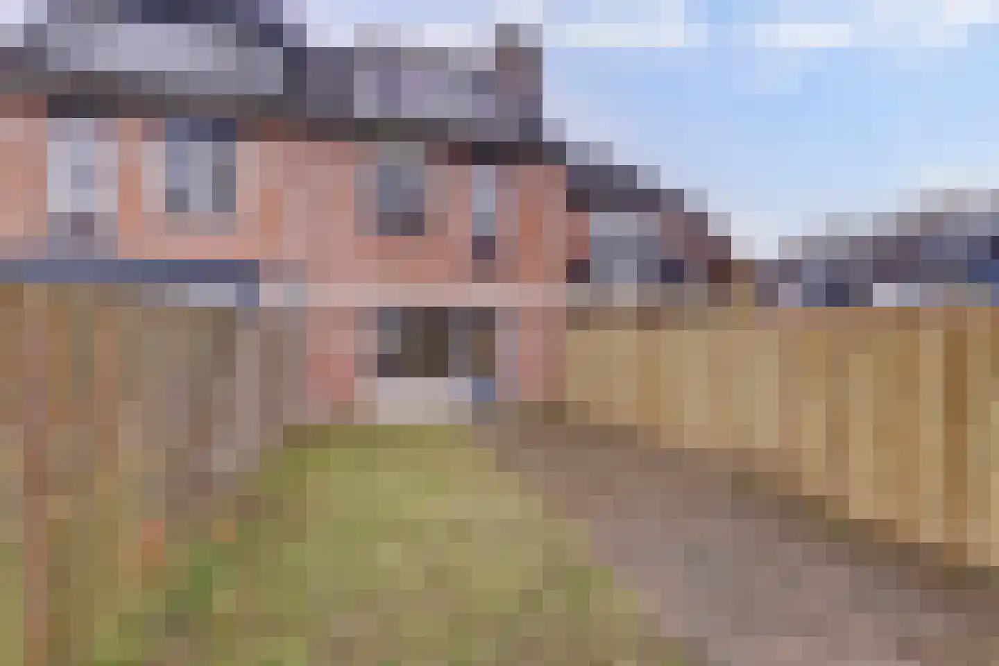 Briljantdrift 39 Nieuwegein thumbnail 7