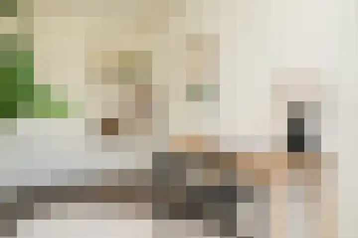 Briljantlaan 116 Utrecht thumbnail 22