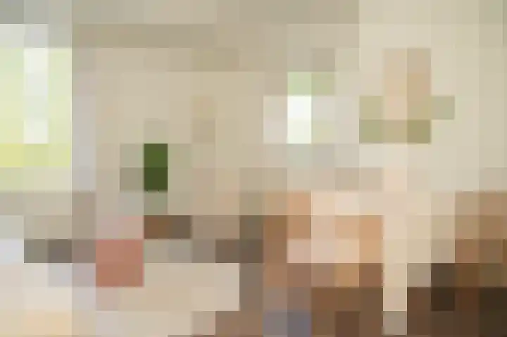 Briljantlaan 116 Utrecht thumbnail 8