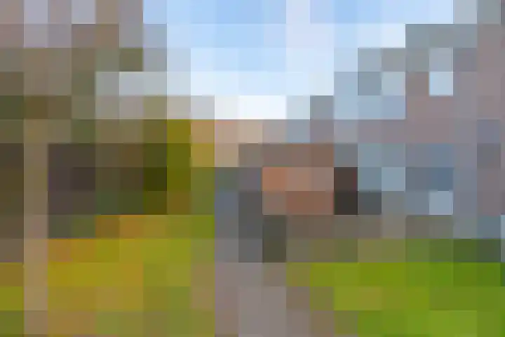 Briljantlaan 18 Utrecht thumbnail 23