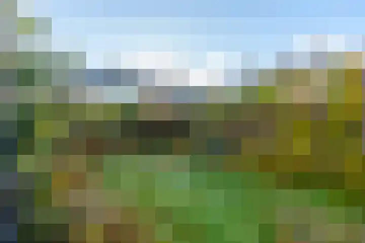 Briljantlaan 18 Utrecht thumbnail 9