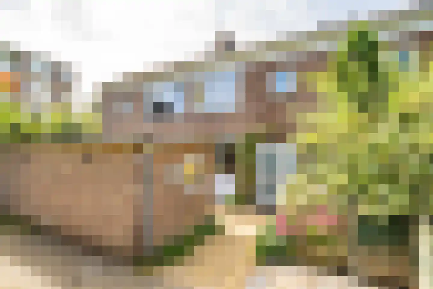 Briljantlaan 32 Utrecht thumbnail 27